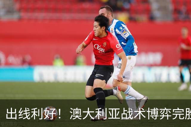 出线利好！澳大利亚战术博弈完胜 土耳其30脚射门难进1球